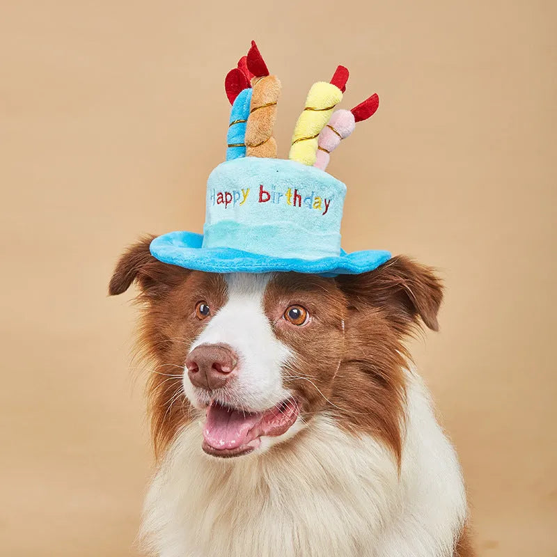 Blue or pink polyester dog birthday hat accessory measuring 21cm by 15cm by 6.5cm