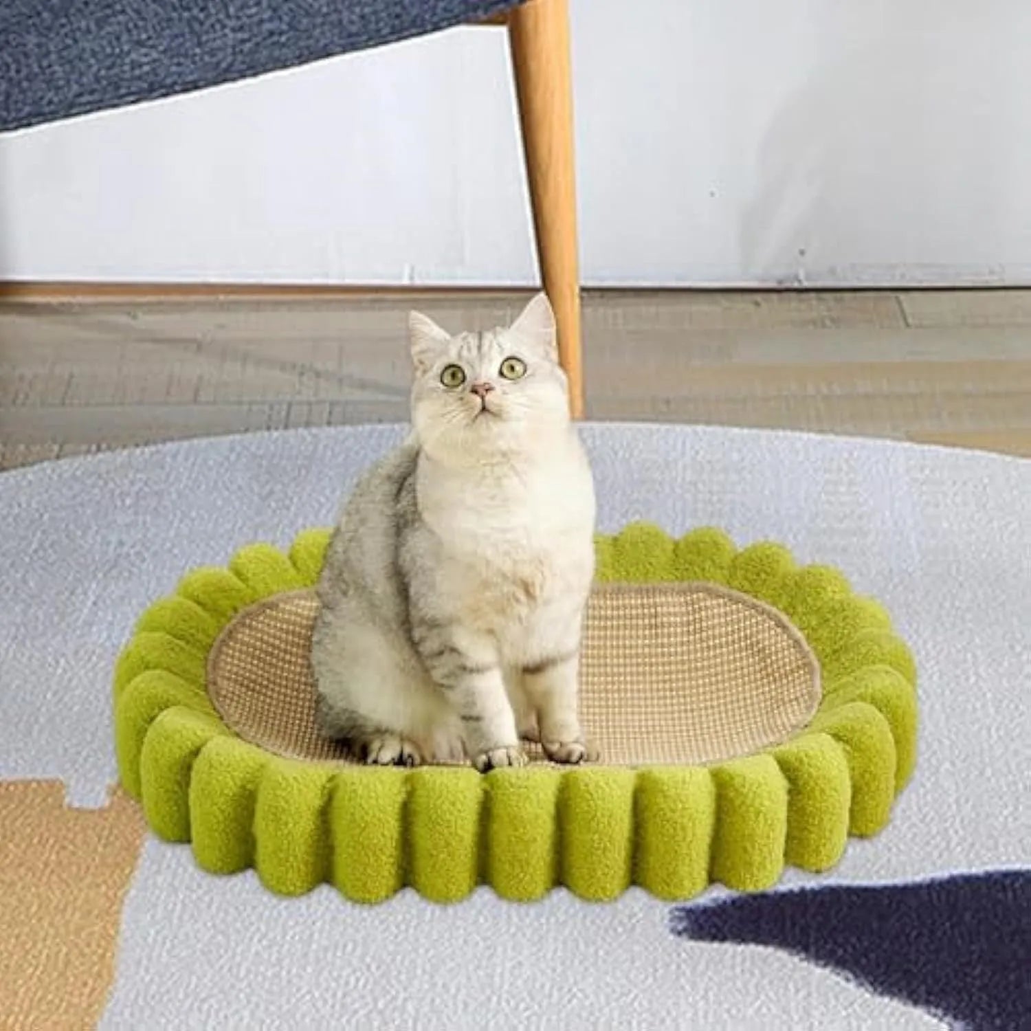 Green oval sisal cat scratch pad bowl serving as a cat bed and scratcher.