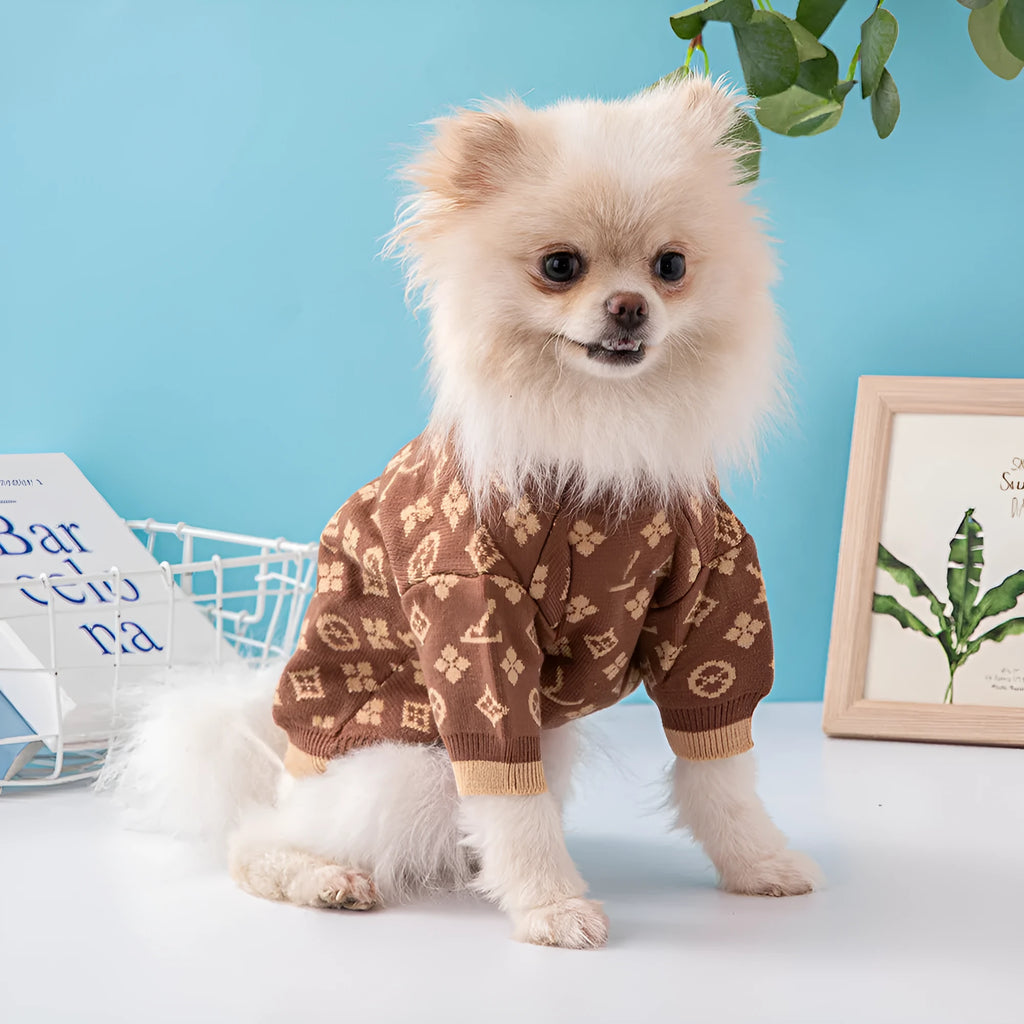 A dog wearing a thick wool jumper in a two-tone colour, suitable for autumn and winter.