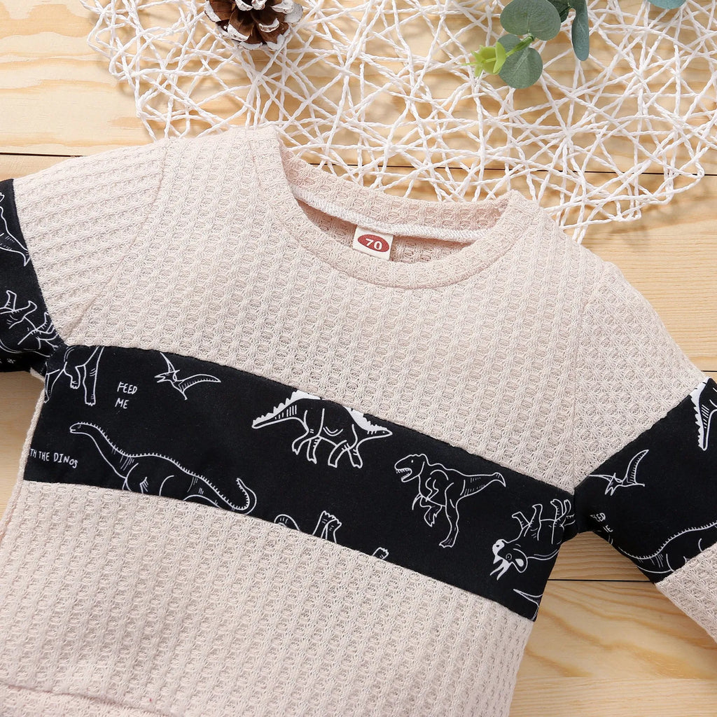 Children's cotton knitted stitching sports suit with cartoon dinosaur pattern in grey colour, pullover style pants set