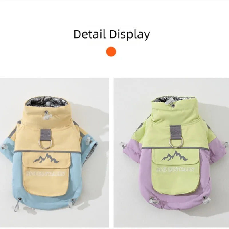 Xidao Di two-legged dog windbreaker coat in sunny yellow-blue colour on a small dog, with adjustable drawstring and D-ring.