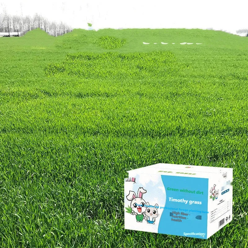 Dried Timothy grass hay 1kg gross 0.68kg net for rabbits, chinchillas, and guinea pigs