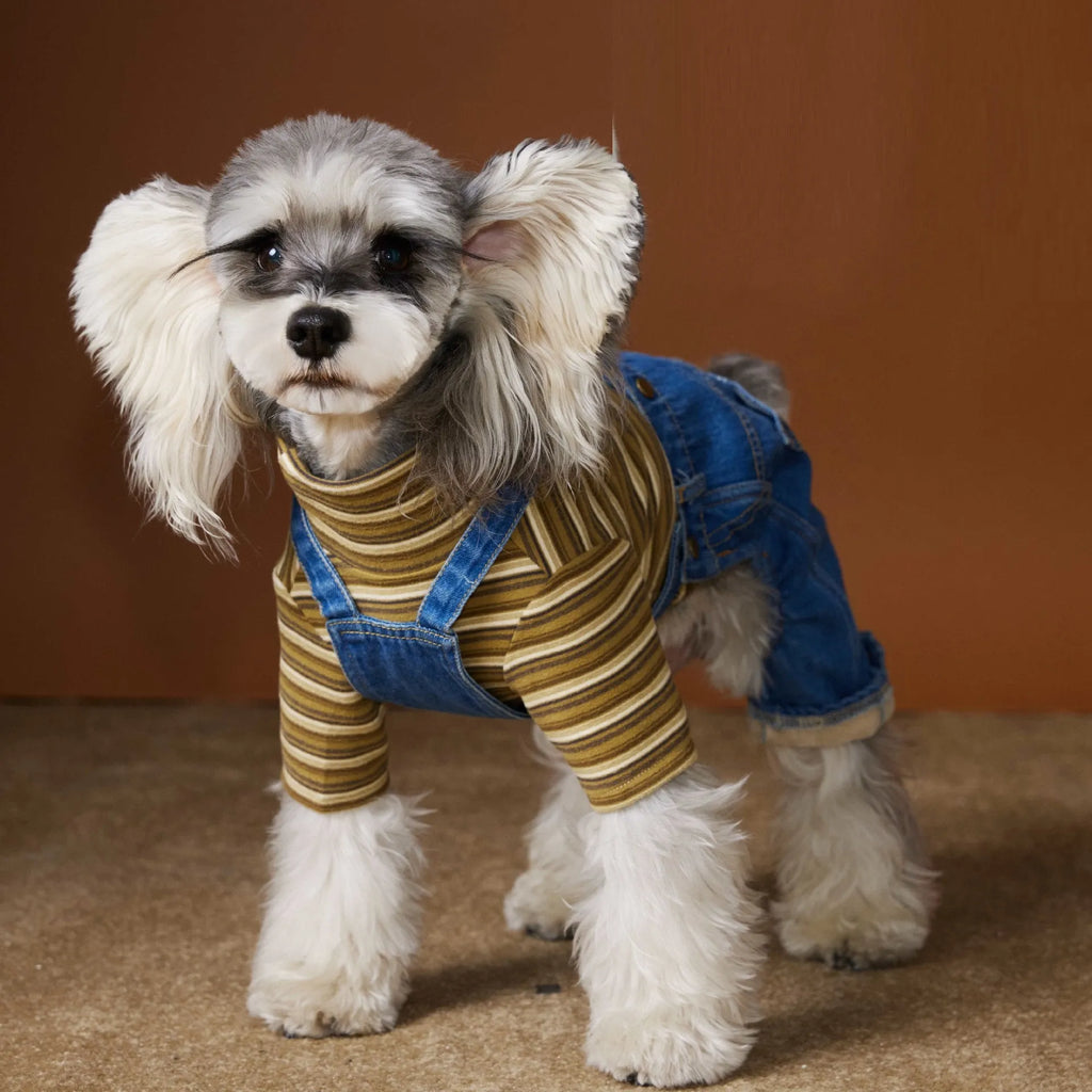 Fleece-lined thickened denim blue dog coat for Teddy, Schnauzer, and Bichon breed sizes XS to XXL