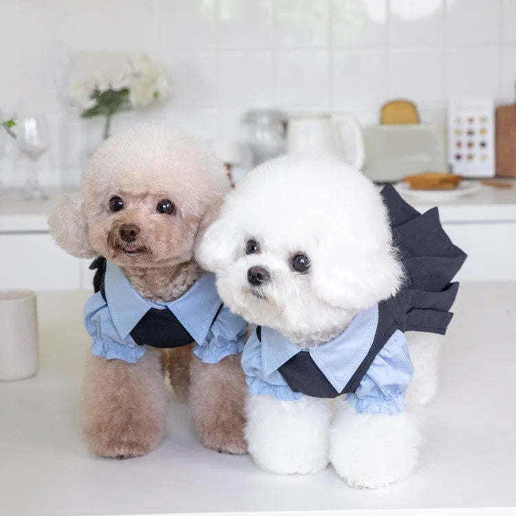Dark grey polyester casual dog clothing shown on pet model