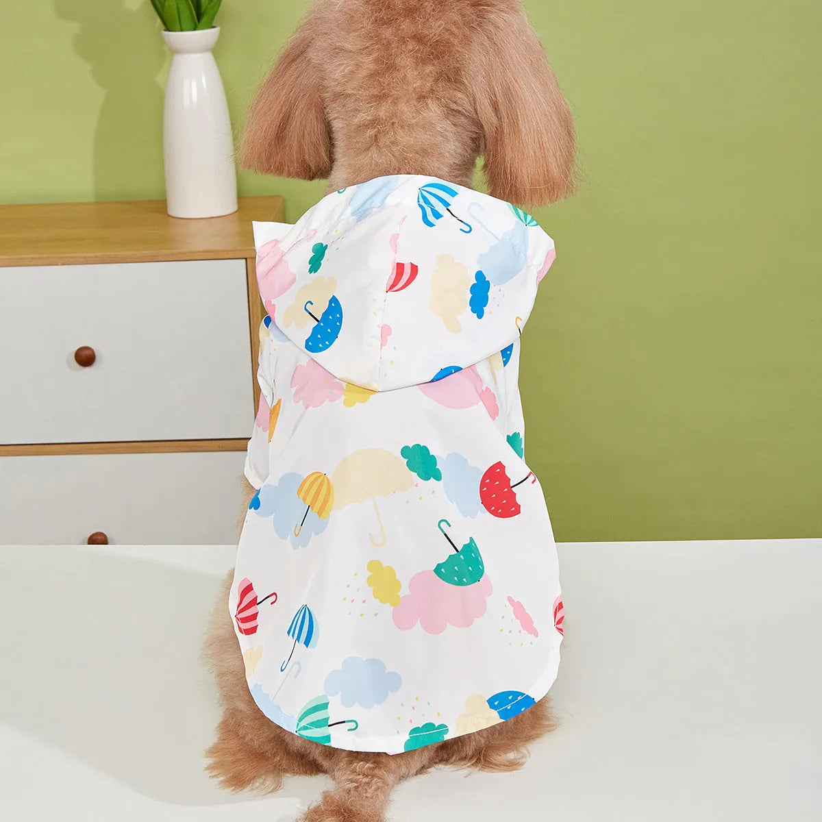 Colourful cartoon umbrella pattern dog raincoat on a model, showing the polyester fabric and size options.