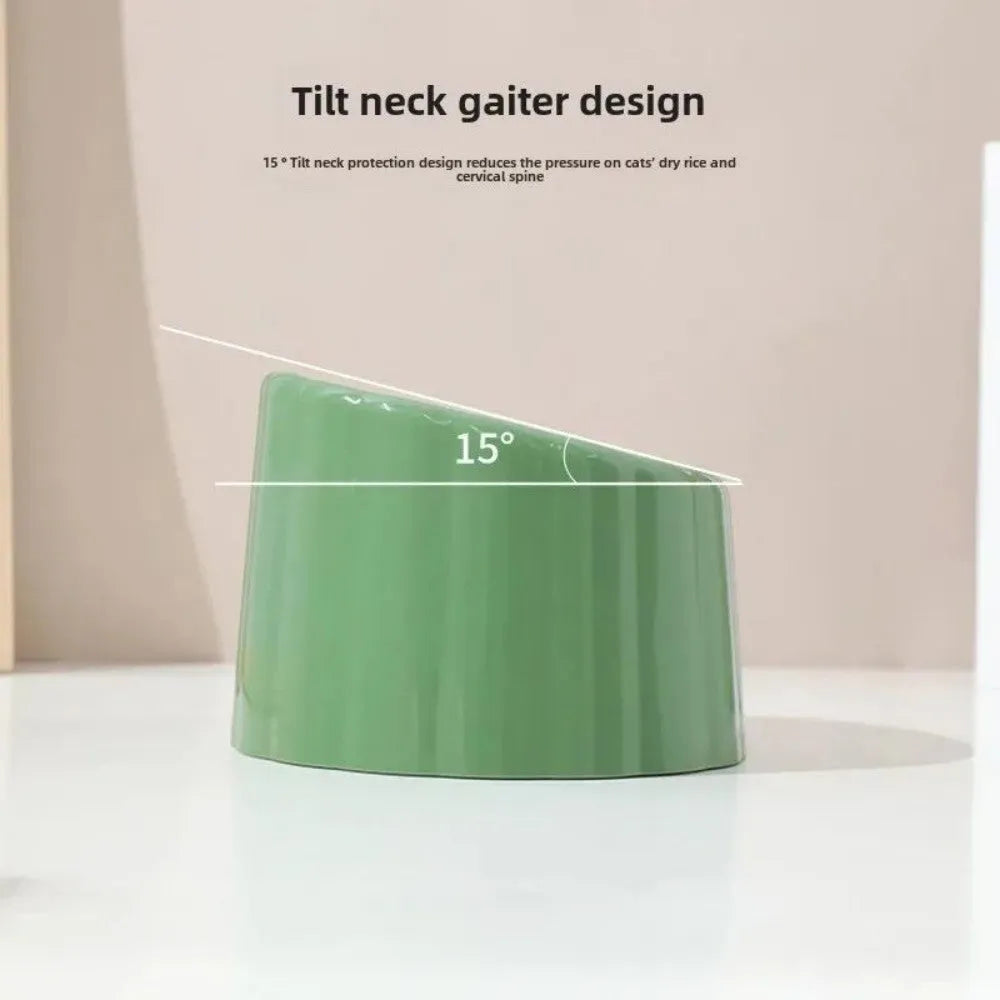 Dark green cat bowl with cactus design, showing wide mouth, heavy base, and anti-slip ring