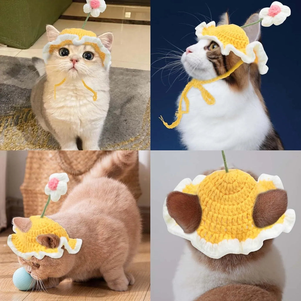 Green knitted cartoon cat hat on a small dog for a costume.