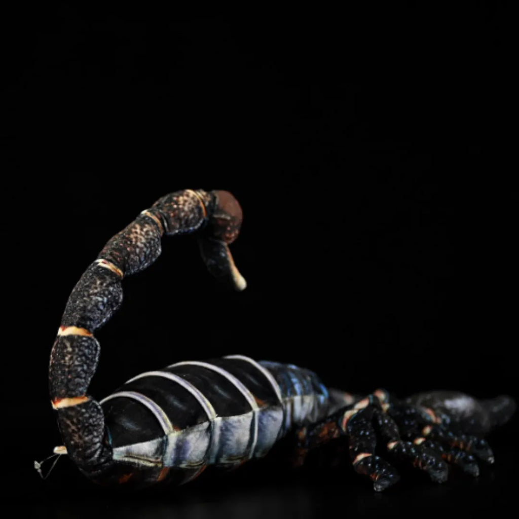 Simulated Yaeyama scorpion plush toy, 48cm from claw to tail, soft stuffed doll on white background