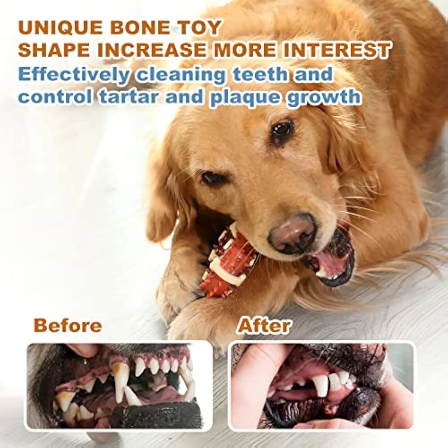 Bone-shaped natural rubber dog chew toy for grinding teeth, shown in large and small sizes.