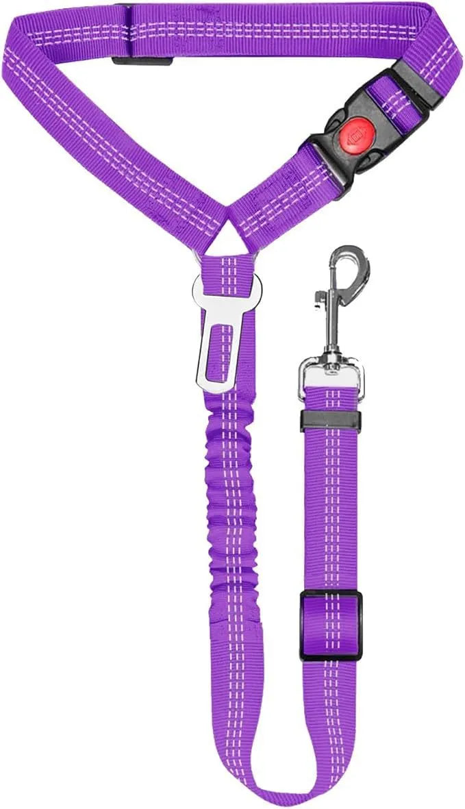 Nylon tow rope dog leash with a metal buckle in various colours