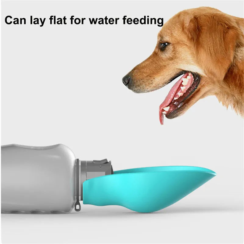 Blue grey portable dog water bottle with foldable drinking bowl showing 800ml capacity markings