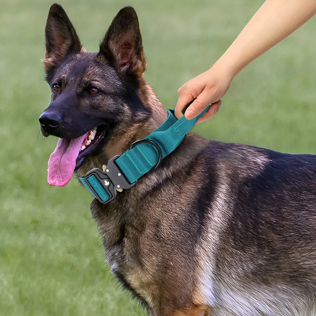 Explosion-proof handle dog collar in nylon, 1.5-inch width, M 38-46cm to XL 47-65cm, monochrome design