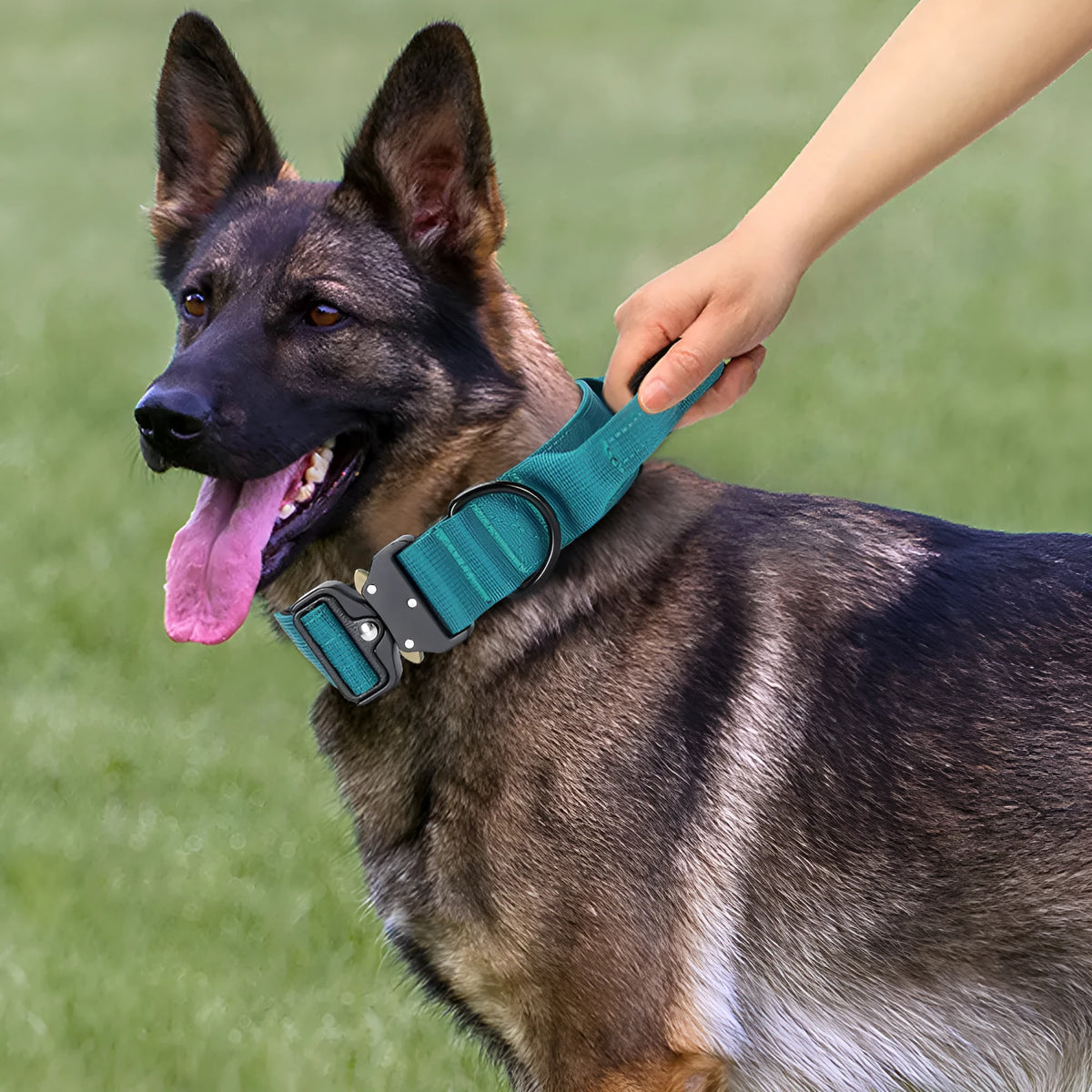 Explosion-proof handle dog collar in nylon, 1.5-inch width, M 38-46cm to XL 47-65cm, monochrome design