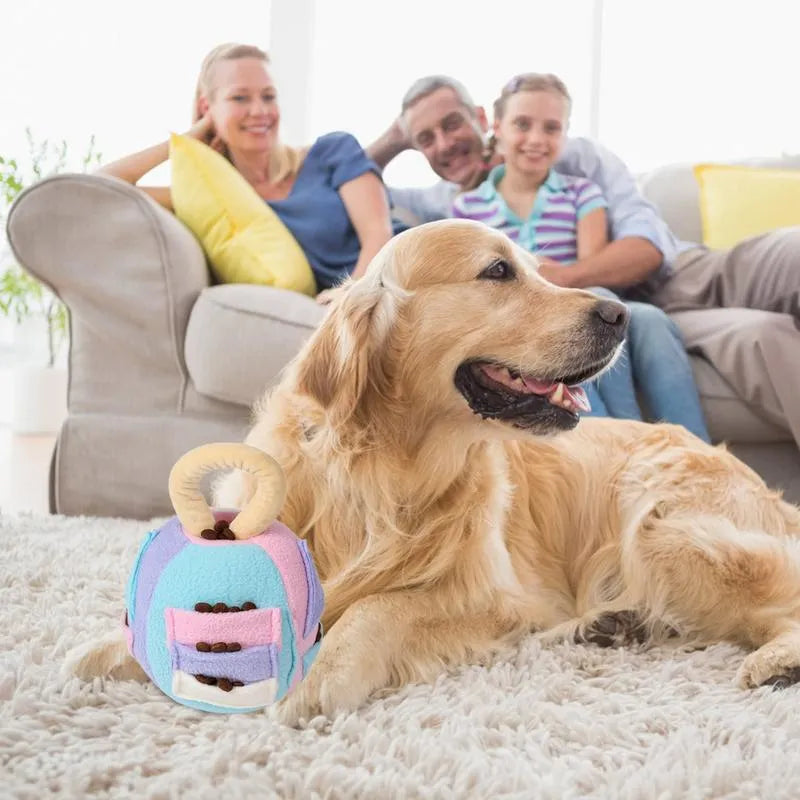 Green plush squeaky ball dog toy with treat pockets for interactive play with small to medium dogs