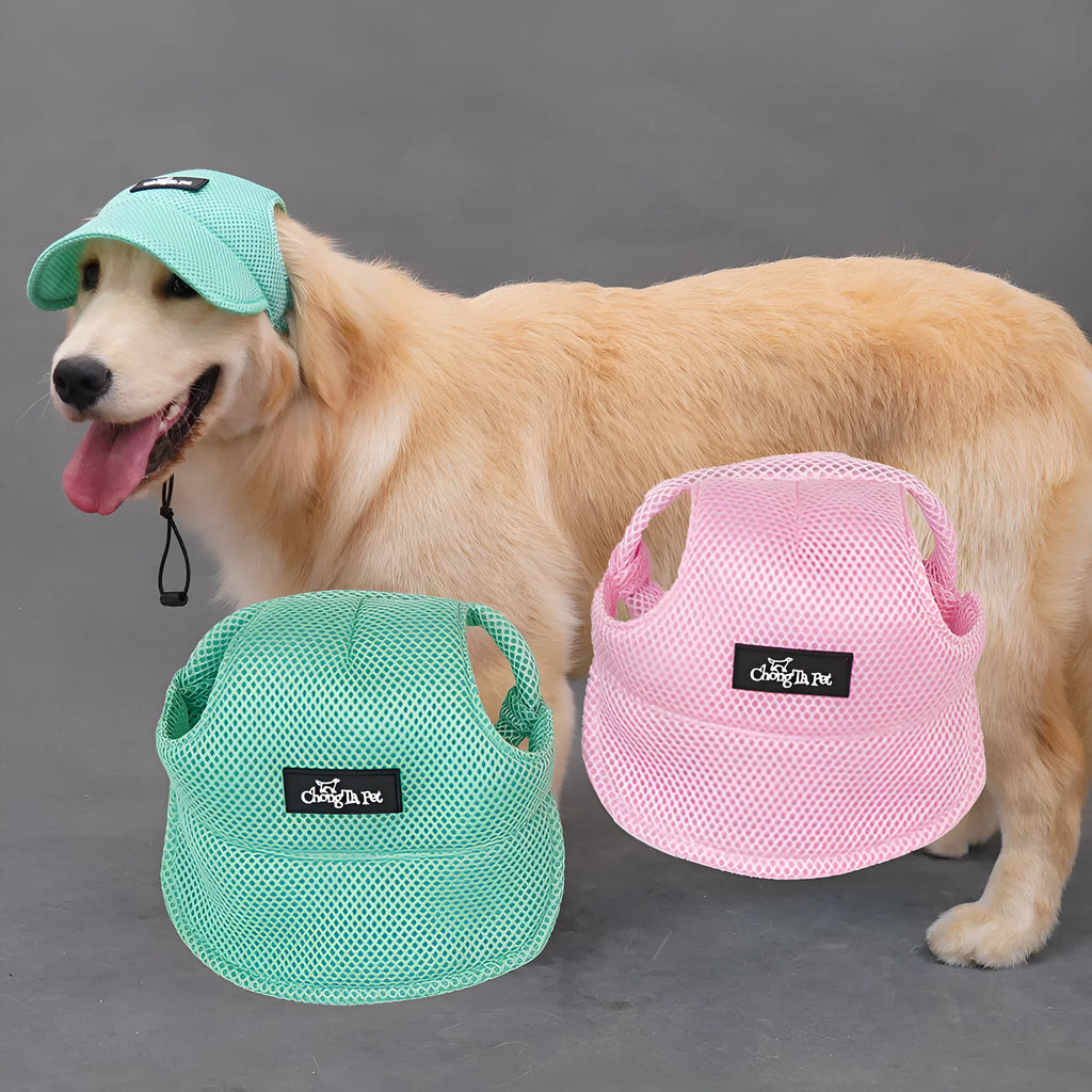 Breathable sandwich net dog hat with ear holes in green or pink, sizes XS to XL