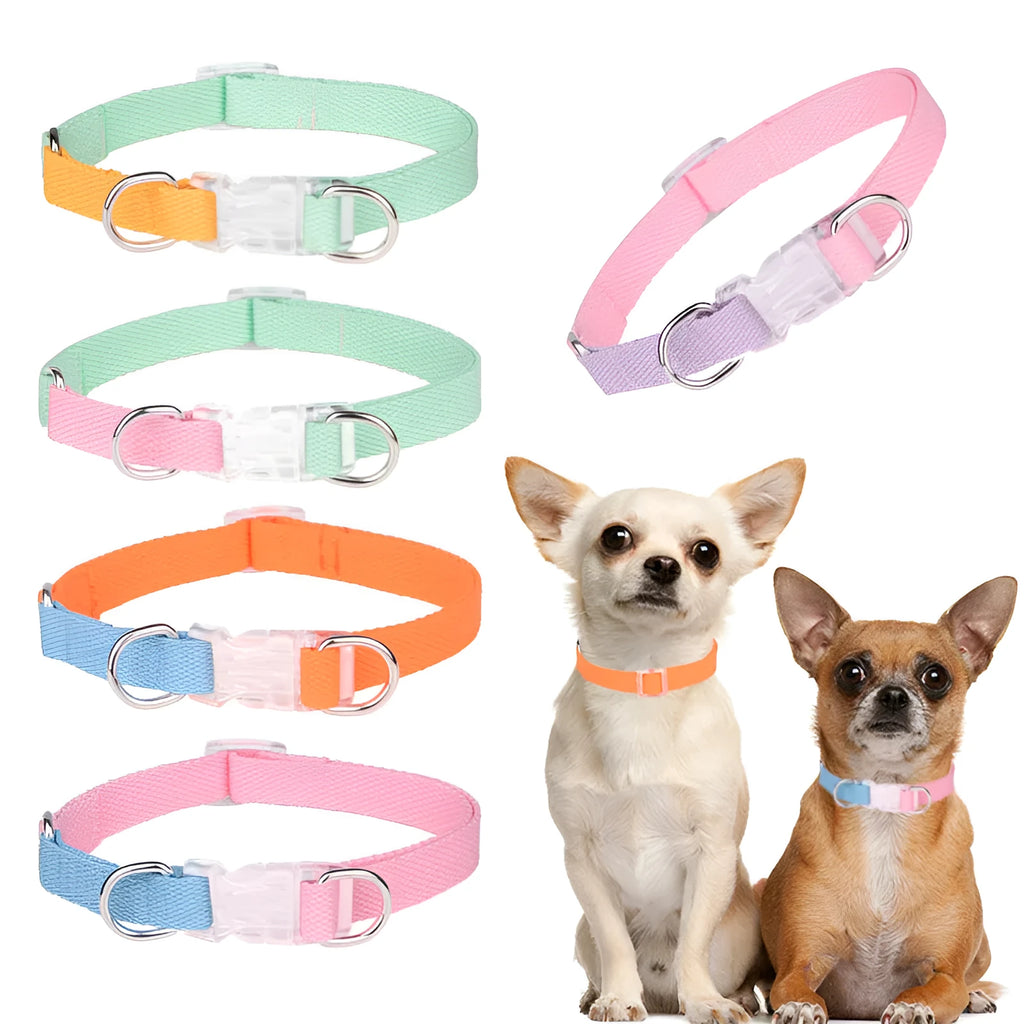 Polyester ribbon dog collar set with matching hand-holding rope and chest strap in multiple colour options