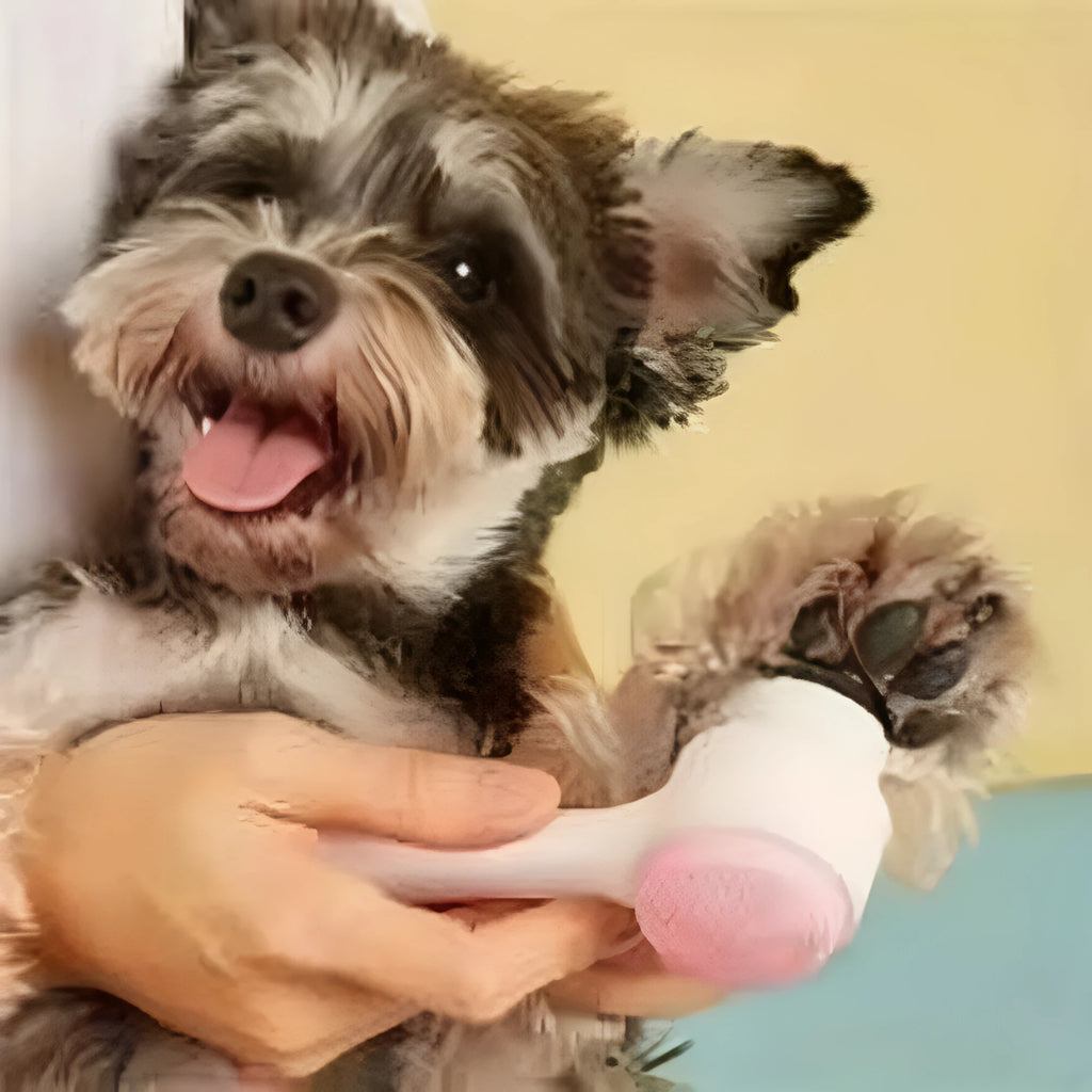 Blue nylon pet paw brush with silicone finger sleeves for dog and cat grooming.