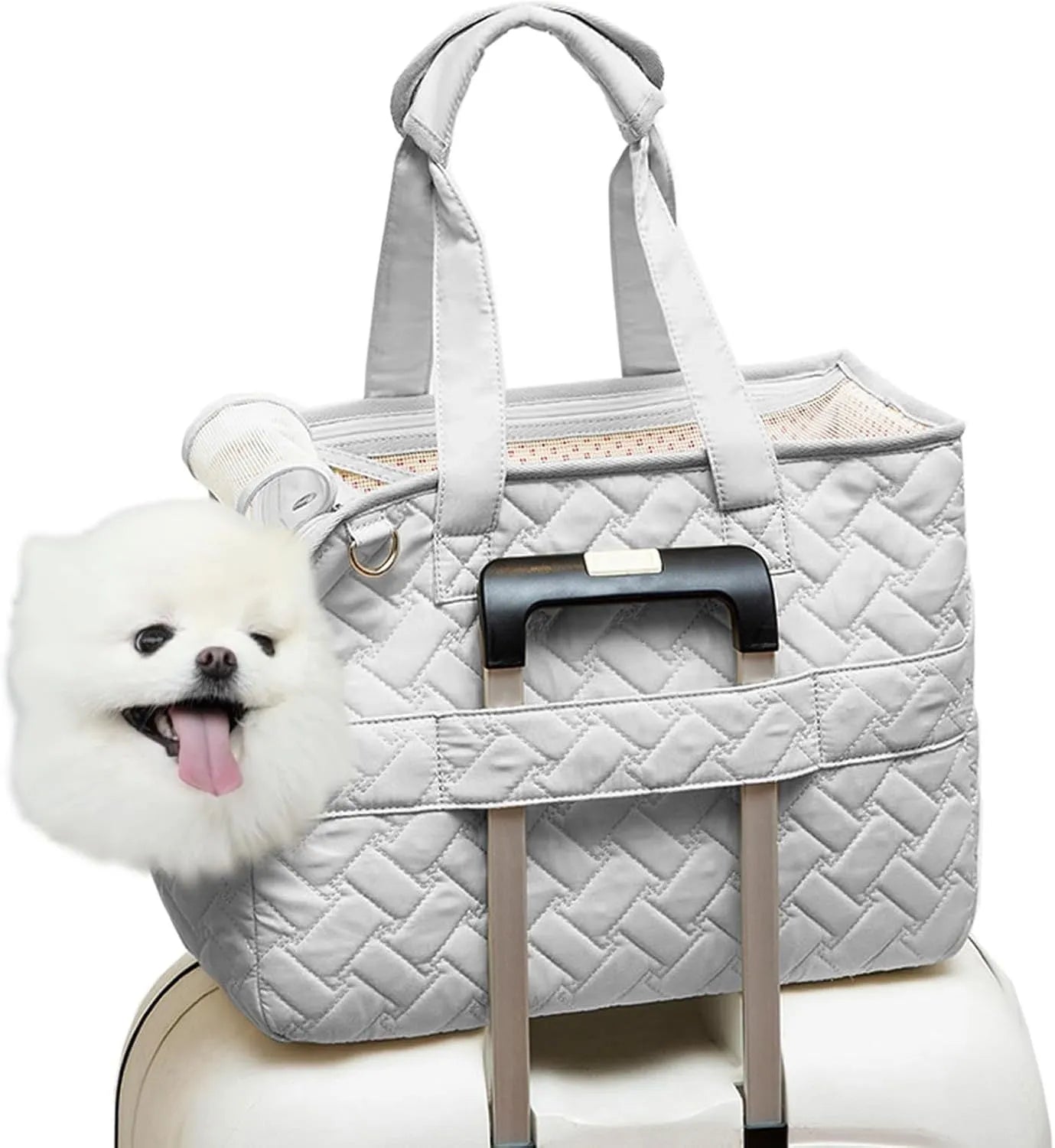 Grey handbag-style pet carrier with mesh panels and a safety leash for cats and small dogs.