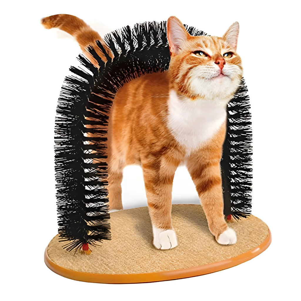 White plastic arched cat grooming station with integrated brush bristles for scratching and rubbing.