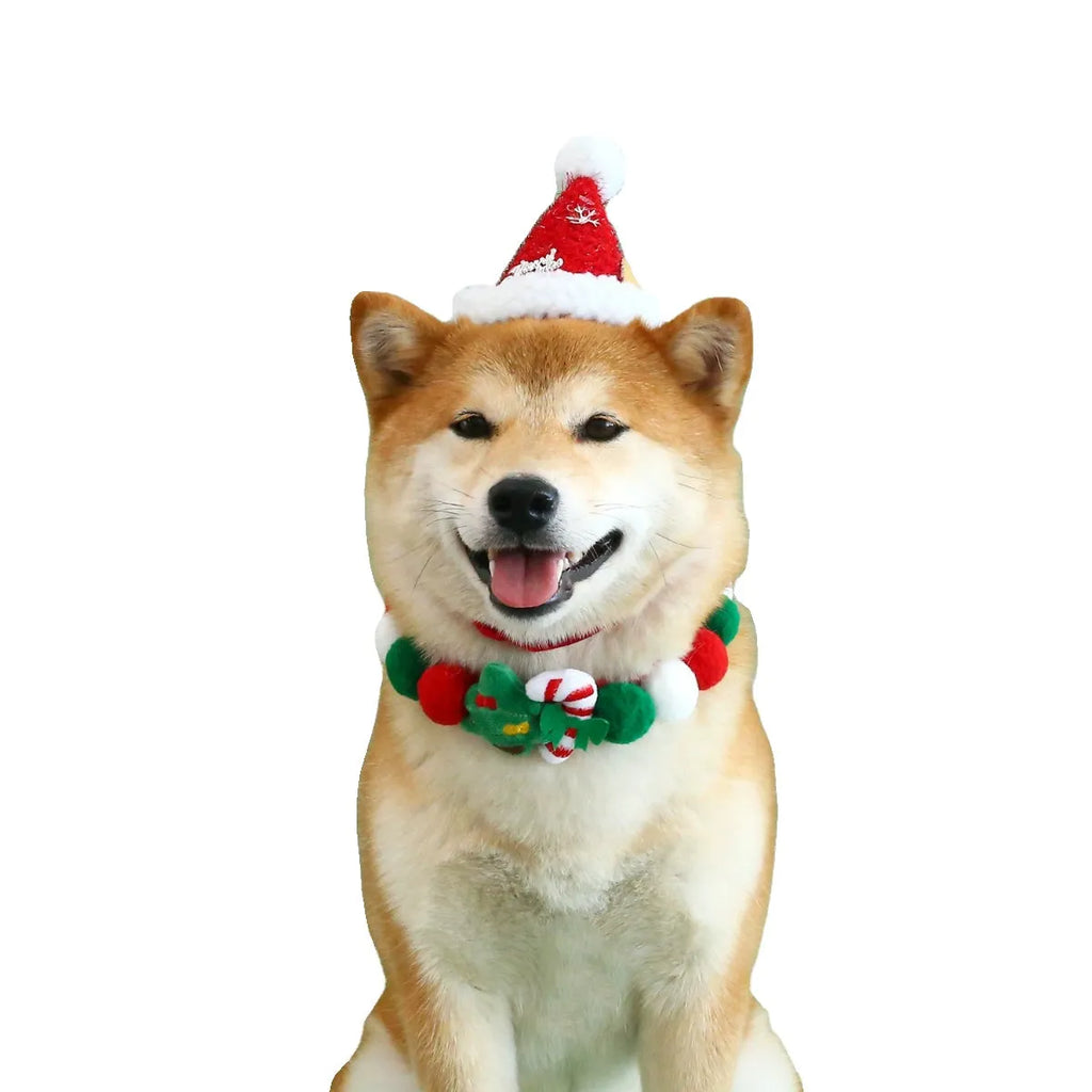 Christmas Series Pet Ball Collar in Bell hat ball style on a pet, plush material, size M