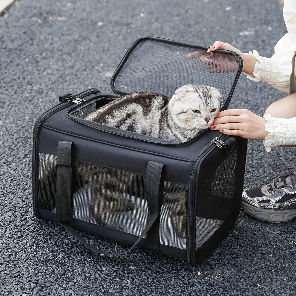 Oxford fabric pet carrier bag for dogs and cats in grey or black with blue edge options