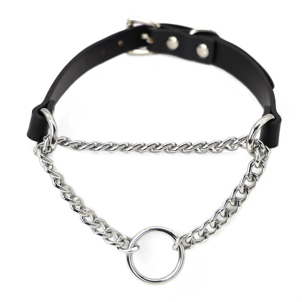 Black leather dog collar and matching leash with a rope hand grip.