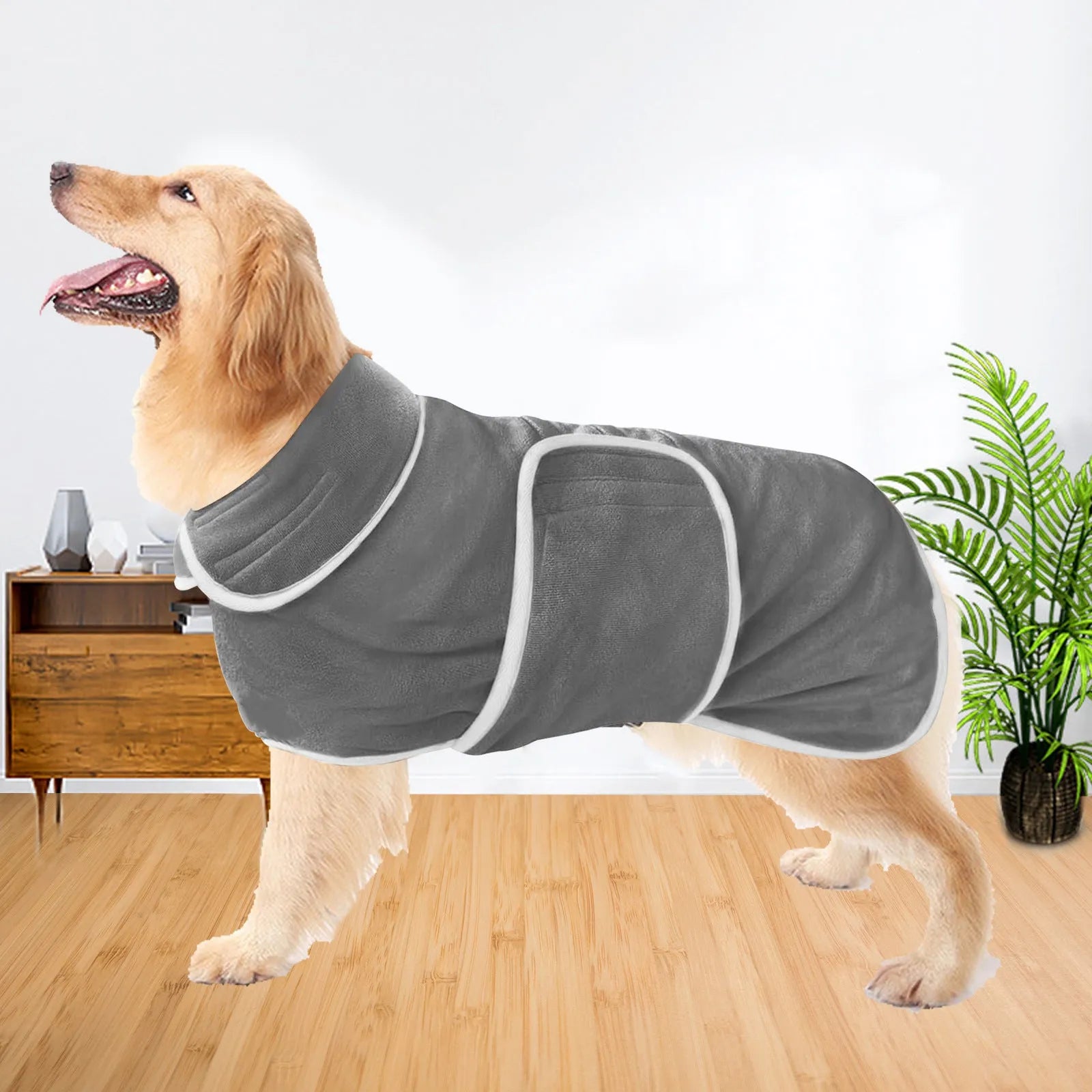 Super absorbent dog bathrobe robe on a dog, showing hook and loop closure and soft material.