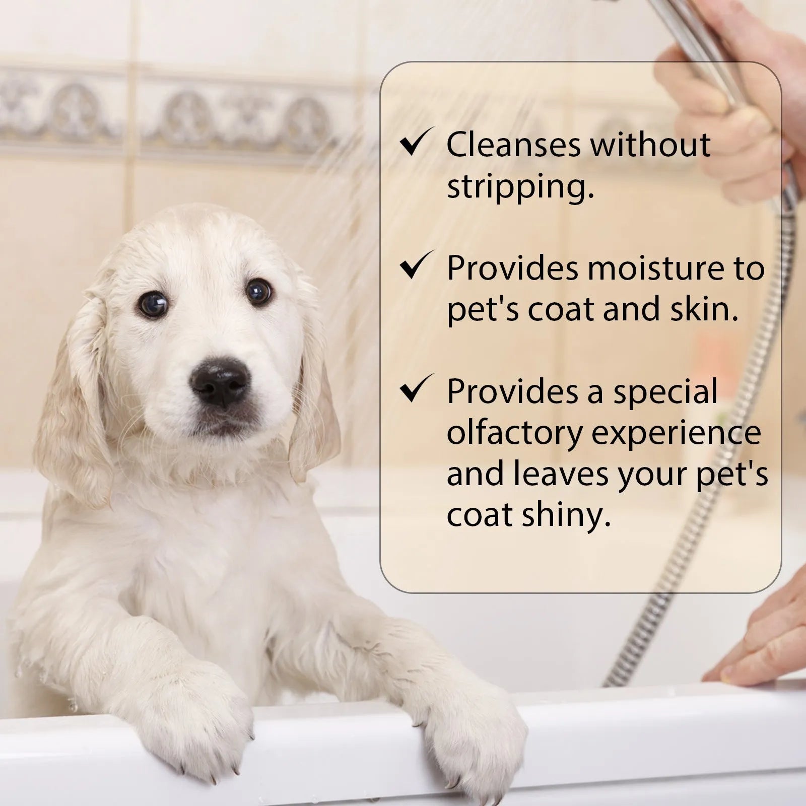 Bottle of mild pet shampoo for dogs and cats in 100ml and 300ml sizes for soft, tangle-free hair.