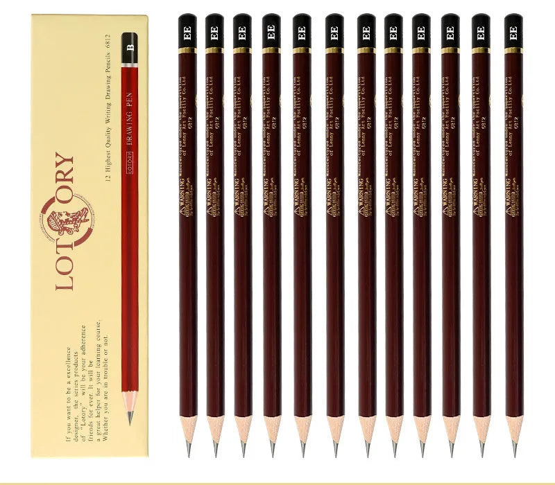 Children's professional charcoal sketching set with multiple pencil grades and drawing materials