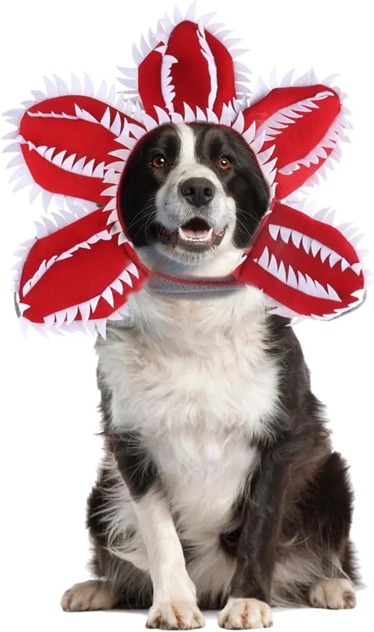 Halloween dog costume headband with chomper mouth, demon horns and alternative flower crown for medium-sized pets