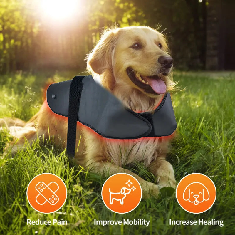 L size black pet red light infrared physiotherapy instrument with timing function for dogs and cats