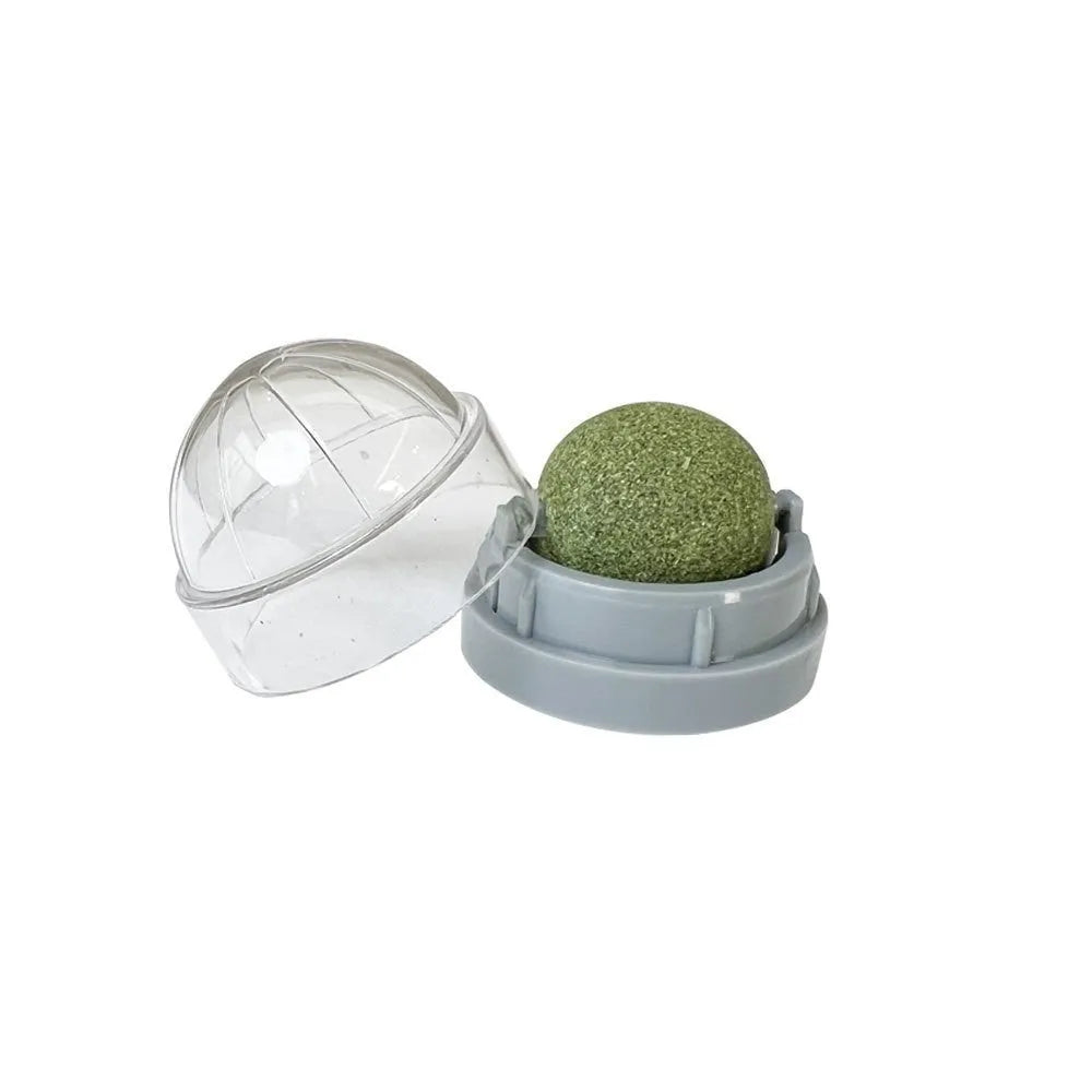 Colourful plastic catnip ball chew toy for dental care on a white background.