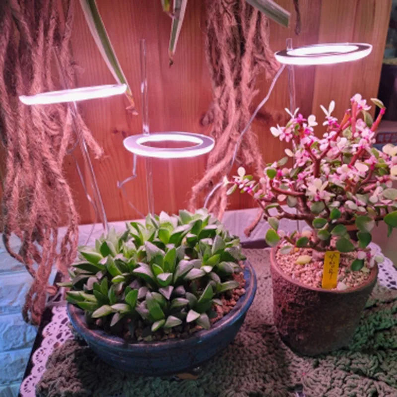 LED grow light angel ring design with USB cable for indoor plants