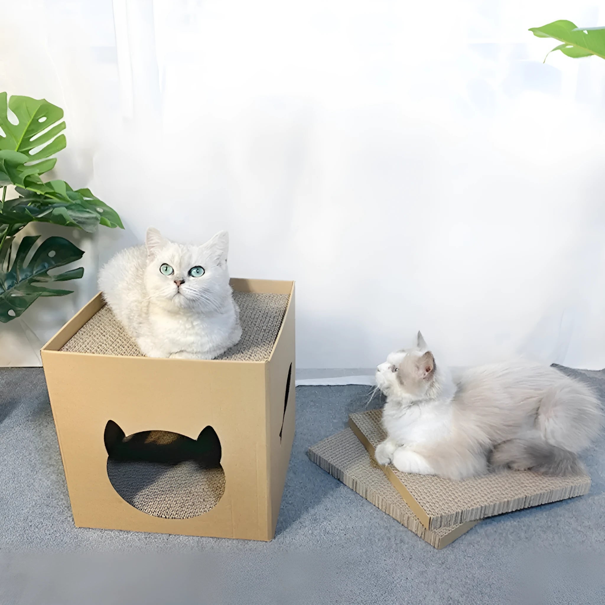Vertical corrugated paper cat scratch board with pet milk carton design in 30cm cube dimensions