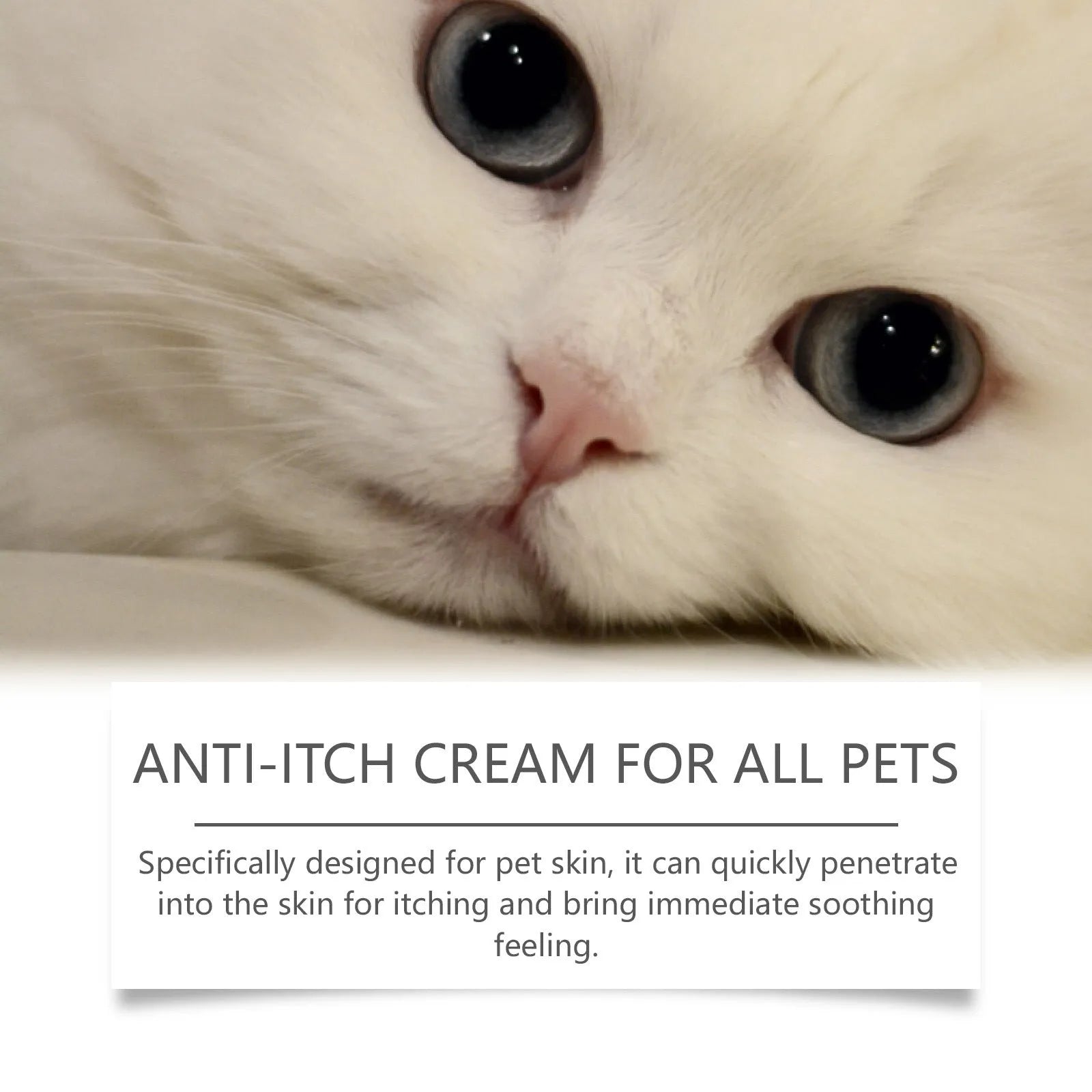 60g tube of pet antipruritic cream for cats with tea tree oil and aloe vera extracts