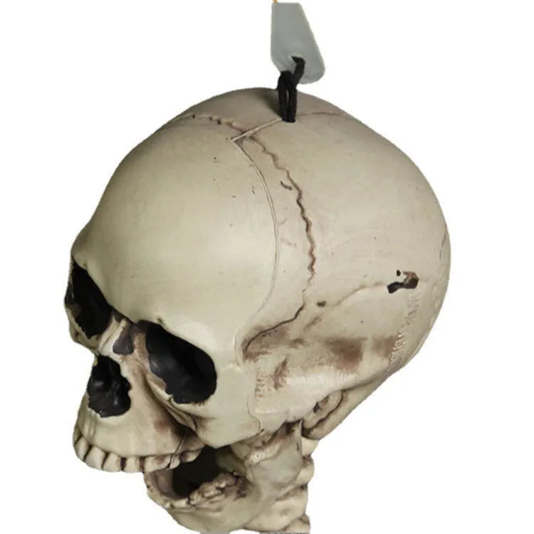 170cm tall plastic skeleton prop with detailed skull and complete bone structure