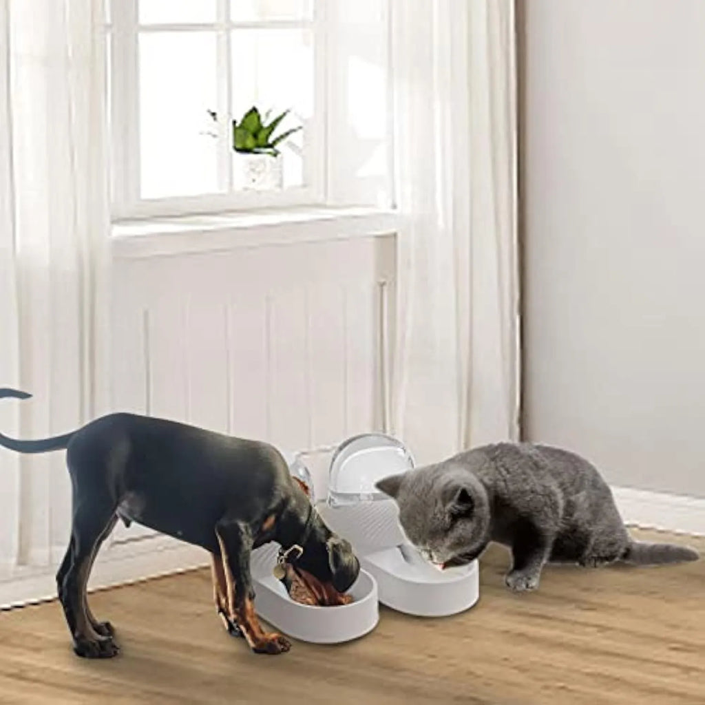 White automatic gravity cat feeder and water dispenser set with wave design.