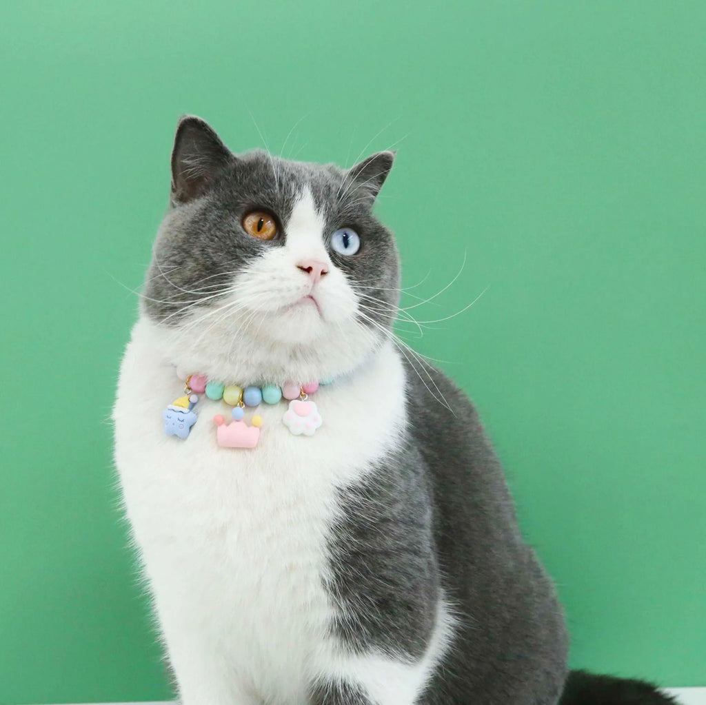 Macaron-coloured resin pet collar with moon charm and matching adjustable bracelet for cats or small dogs.