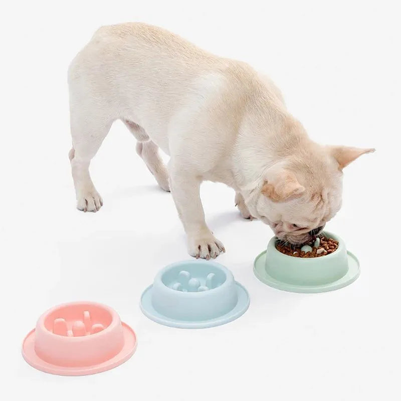Blue slow feeder dog bowl with raised maze pattern for anti-choke feeding