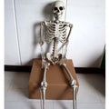 170cm tall plastic skeleton prop with detailed skull and complete bone structure