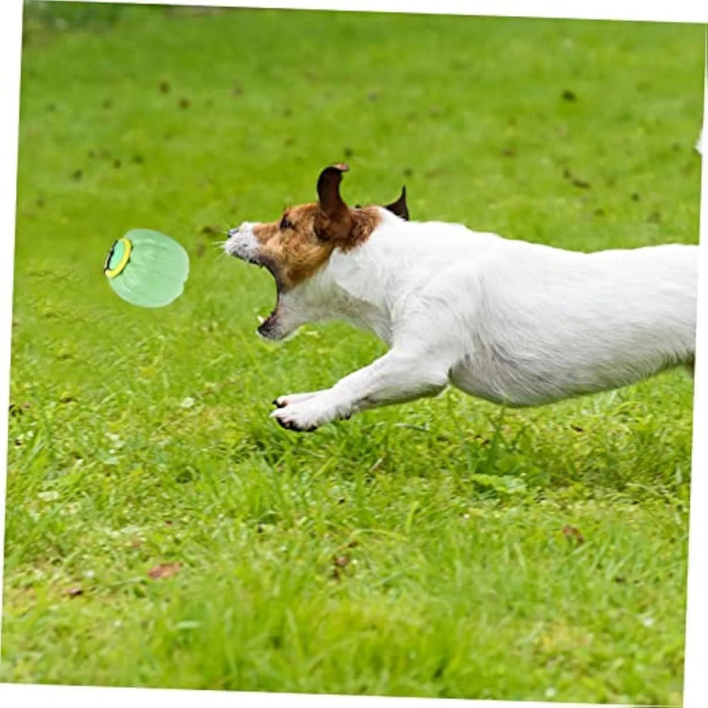 Orange Halloween pumpkin dog chew ball with squeaker for small dogs