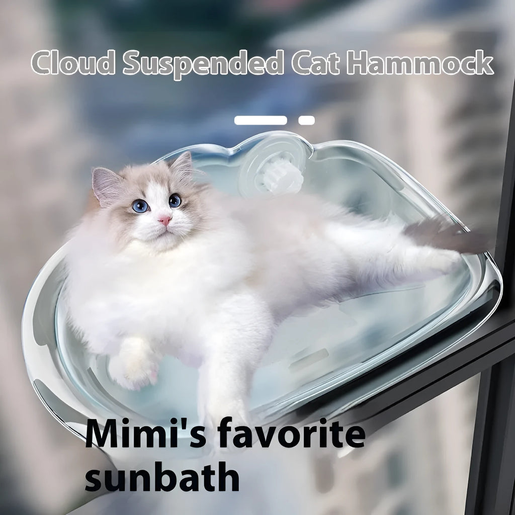 Wall mounted cat hammock with strong suction cups, detachable plastic bed, transparent colour, 52cm x 32cm x 20cm