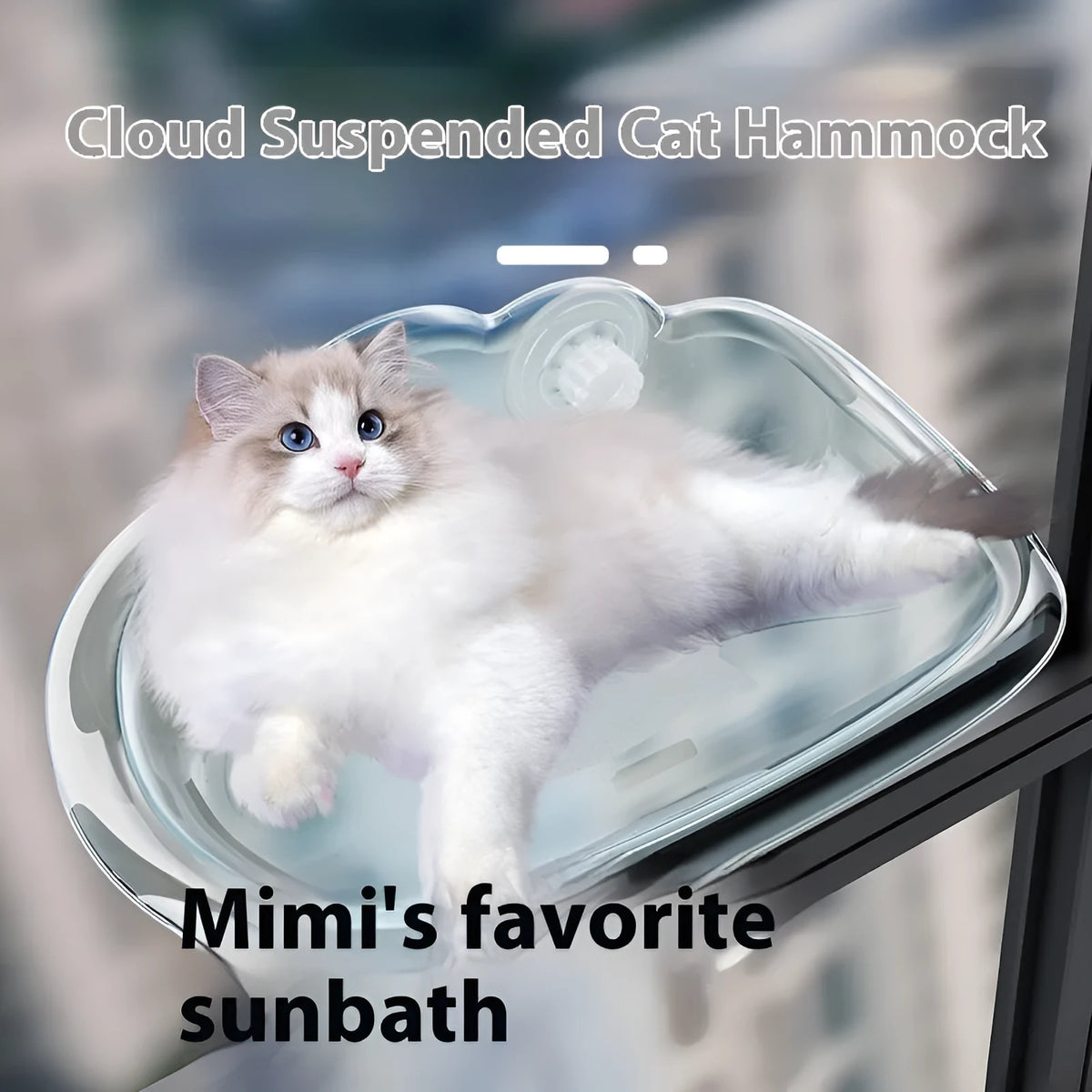 Wall mounted cat hammock with strong suction cups, detachable plastic bed, transparent colour, 52cm x 32cm x 20cm