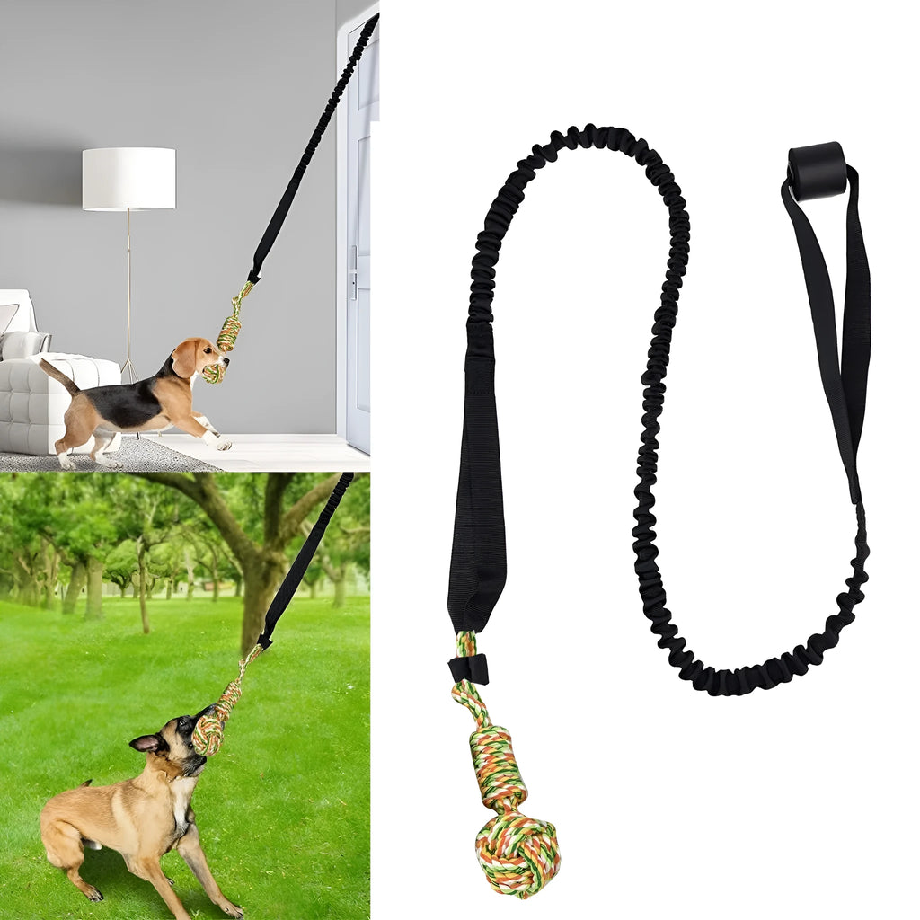 Cotton rope dog tug toy for interactive play and dental grinding, shown in black, grey, or red.