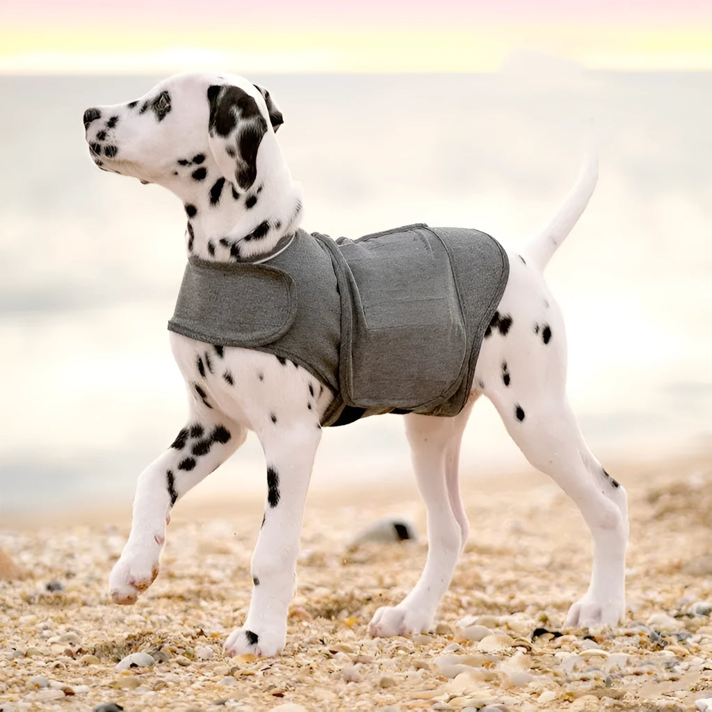 Heather Grey dog anxiety vest and warm jacket on a mannequin, showing the fit and knit fabric.
