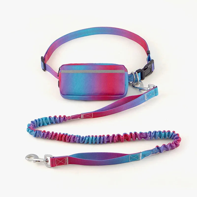 Blue adjustable hands-free dog leash with waist belt and reflective strips for walking and running