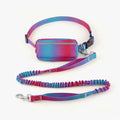 Blue adjustable hands-free dog leash with waist belt and reflective strips for walking and running