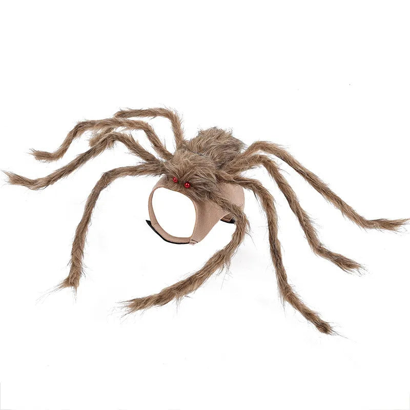 Grey and black spider Halloween costume for a dog on a carpet