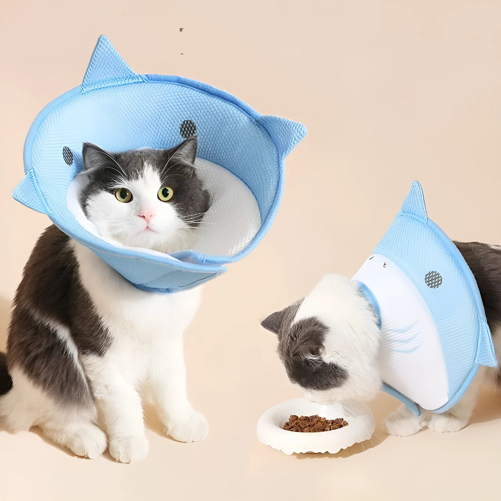 Pet protective cover in blue shark cartoon pattern, made from mesh cloth, on a light background