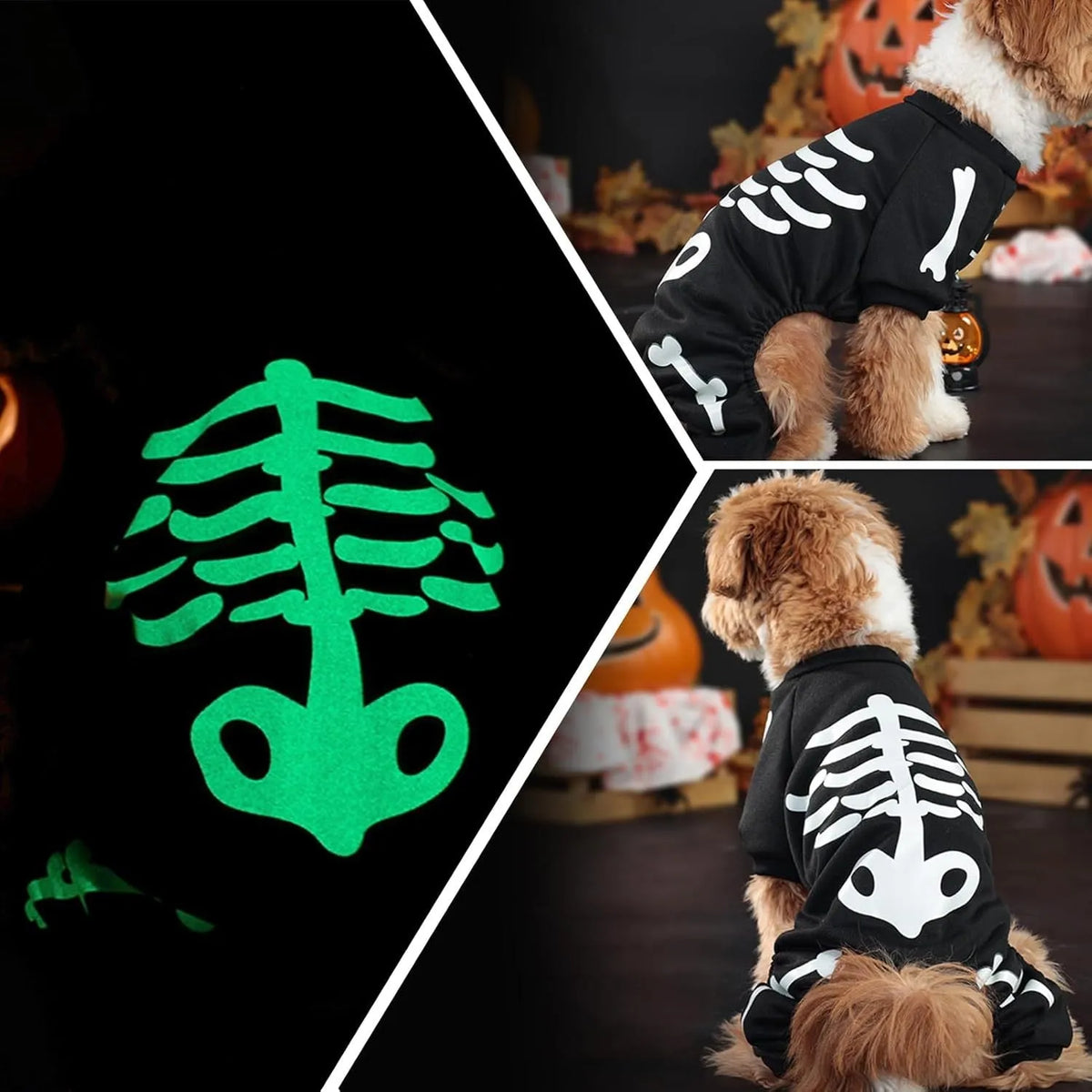 Glow in the dark skeleton Halloween dog costume jumpsuit for small dogs, sizes S to XL
